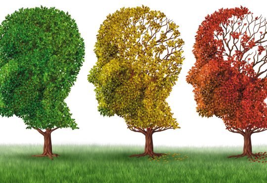 Dicas de Segurança Para Cuidar de Alzheimer em Casa